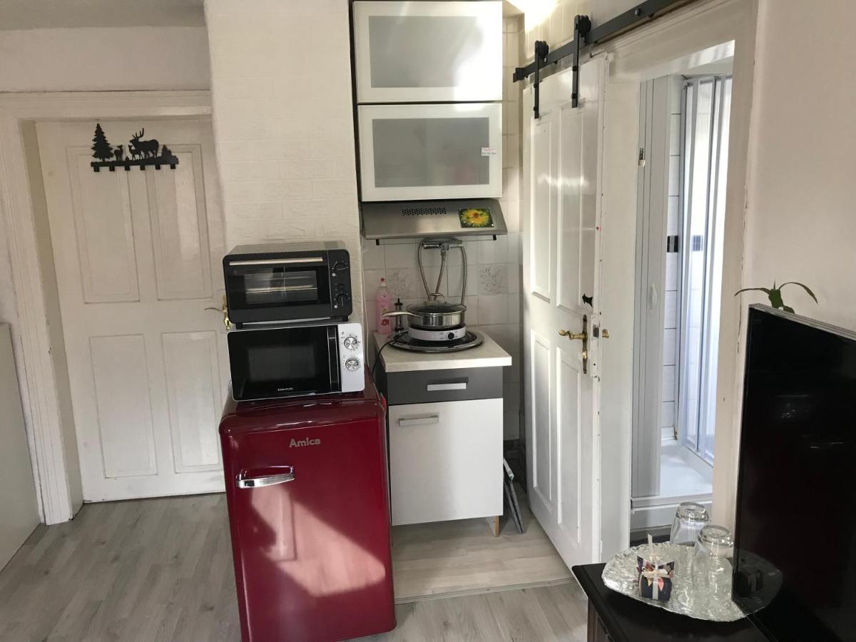 Ferienwohnung Im Einfamilienhaus, Automobil Und Robert Schumann Stadt 茨维考 外观 照片